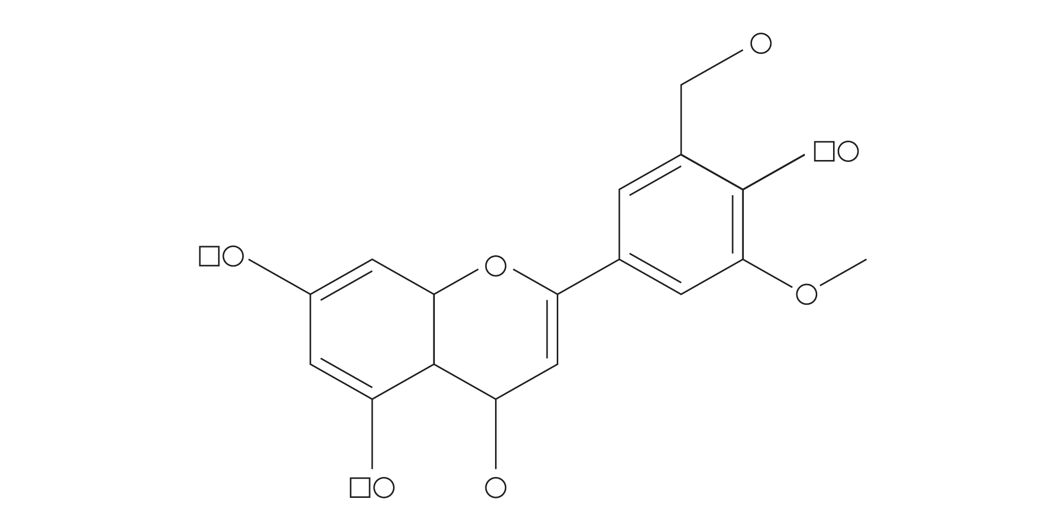 Hydrolyzed Rice Bran Extract
