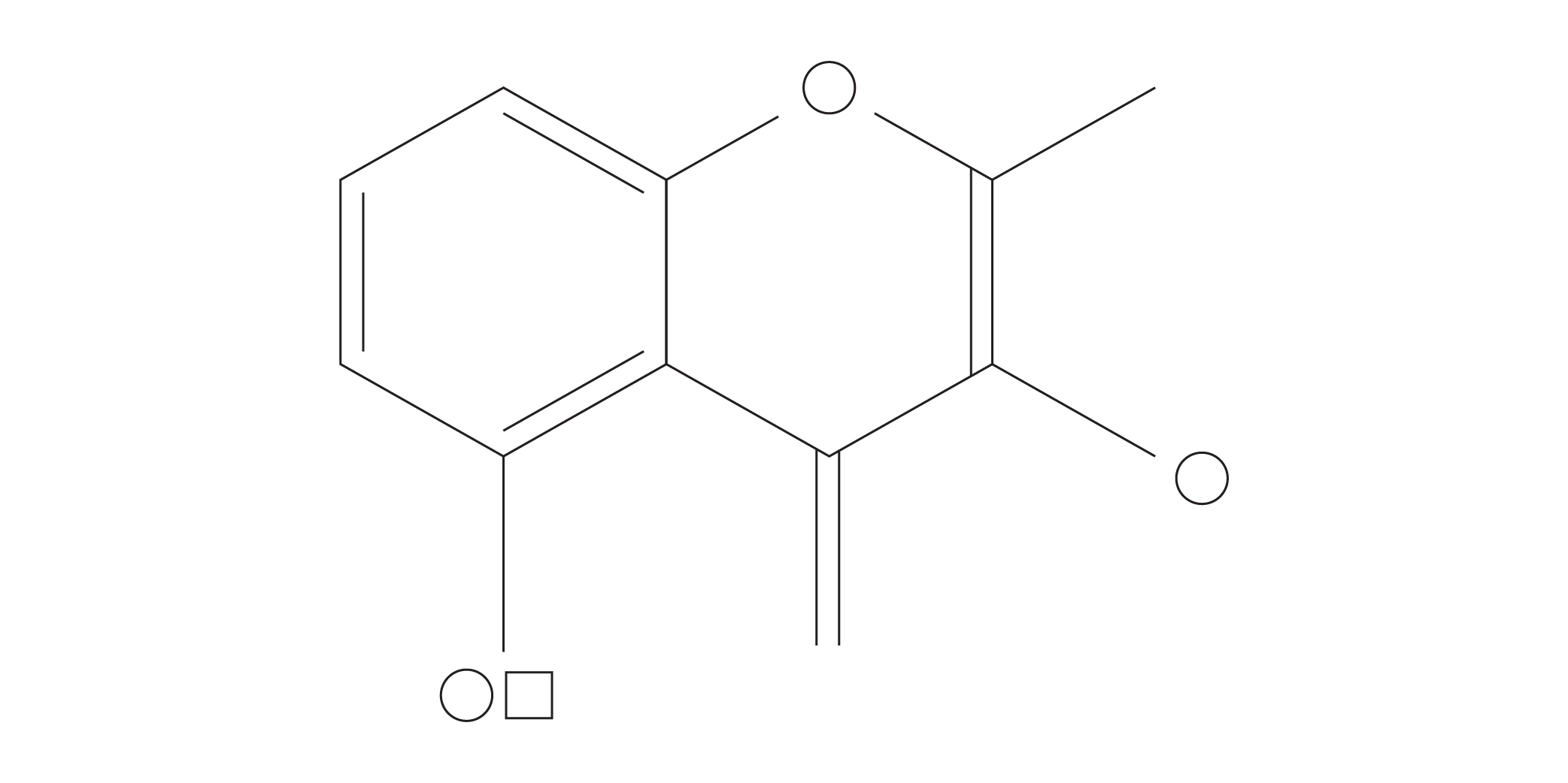 Rosa Damascena Flower Extract