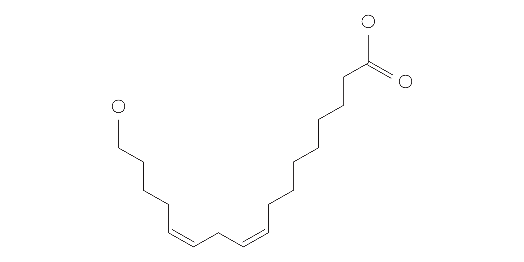 Vitis Vinifera (Grape) Seed Extract